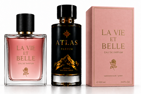 La vie et belle